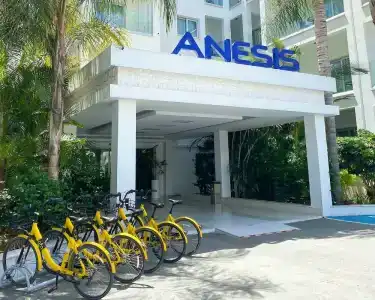 Anesis - 18