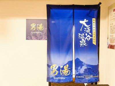 LiVEMAX RESORT HAKONESENGOKUHARA - 22