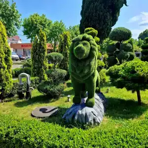 Grand & Spa Priboy - 43