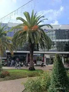 Moe More Aparthotel - 29