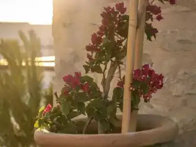 Allium Bodrum Resort & Spa - 44