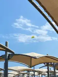 Akka Antedon - Premium All Inclusive - 61