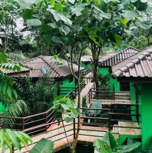 Khao Sok River & Jungle Bungalow - 32