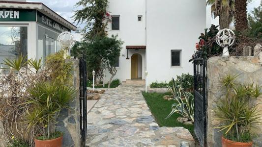 Canna Garden - Adults Only - 25