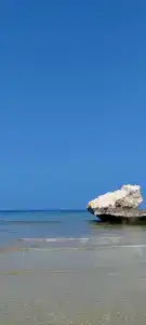 Ramee Guestline Qurum - 5