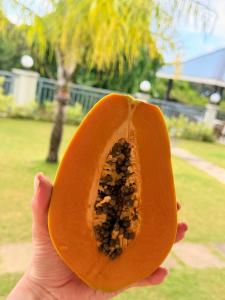 Bambous River Lodge - 22