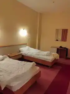 all-Russian Scientific Research Geological Institute. A. P. Karpinsky - 80