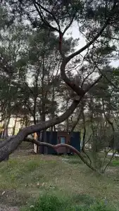 Baltiyskie Holmy - 11