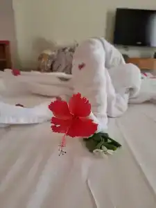 Mercure Hurghada - 65