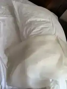 Vasilievskiy Dvor - 40