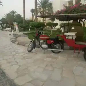 Seagull Beach Resort - Families and Couples Only - 29