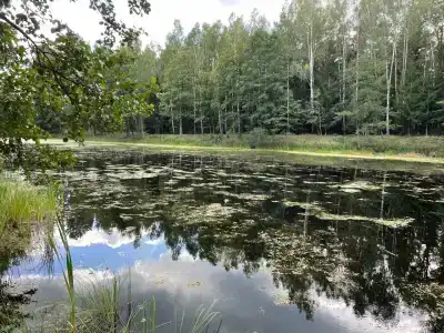 Complex Kamenyuky - 12