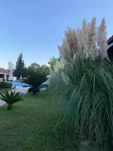 Champion Holiday Village - All Inclusive - 46