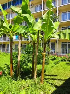 Wellness Park All-Inclusive - 1