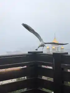 Golden Horn Bay View - 5