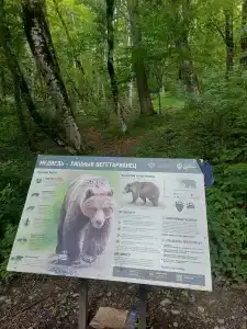  - 50