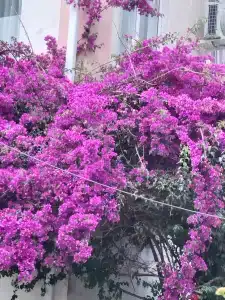 Im. Chelyuskintsev Sanatorium - 43