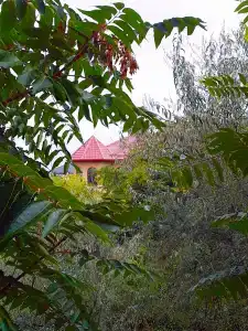 Admiral Inn Aparthotel - 51