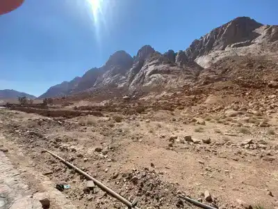 Parrotel Beach Resort - 41