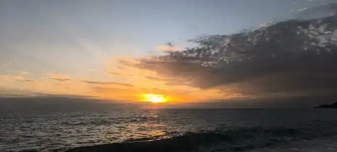 Grand Zaman Garden - 37