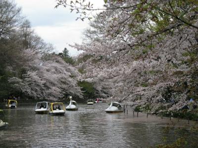 Route-Inn Tokyo Asagaya - 18