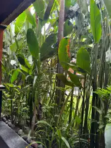 Wina Holiday Villa Kuta - 38