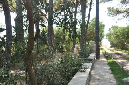 Villaggio Borgo degli Ulivi - 4