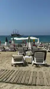 Kleopatra Royal Palm - 13