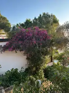 Greenport Bodrum - 37