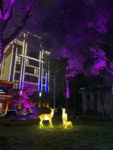 Holiday Inn Express Shanghai Putuo by IHG - 9