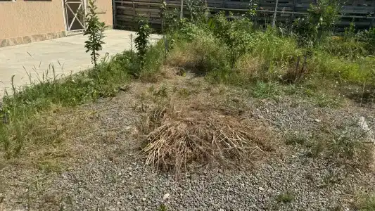 Semeyny Park Ozero Recreation Center - 61