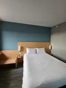 Ibis Kaliningrad Tsentr - 96