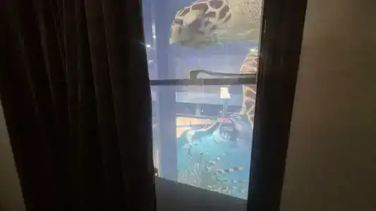 Aquatek Resort & Spa - 34