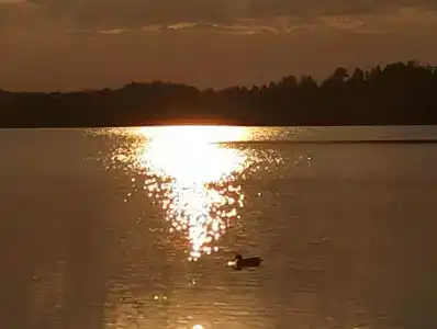 Recreation center "Zolotye berega" - 5