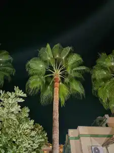 Miarosa Konakli Garden - 31