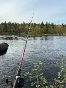 Kola Fishing "Olenya lodge" - 85