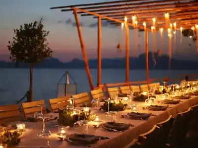 Perdue Adults Only - 36