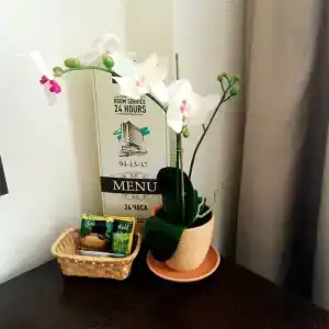 Business Continent - 31