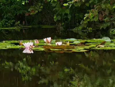 Eco Park Tourist base - 24