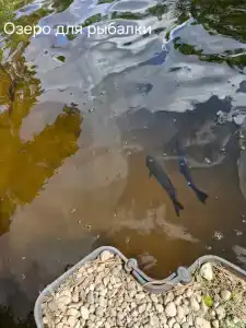 Park-EkoBel Kolbovichi - 29