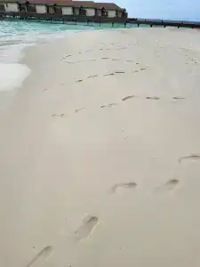Reethi Faru, Bio Luxury Resort - 23