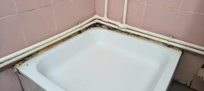 Ladozhskaya Rivyera - 78