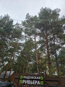 Ladozhskaya Rivyera - 44