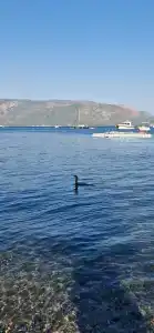 Orsmaris Boutique - Boutique Class - 19