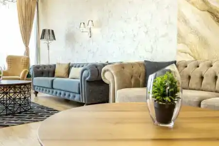 City Avenue by HMG - 40