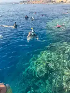 Dive Inn Resort - 10