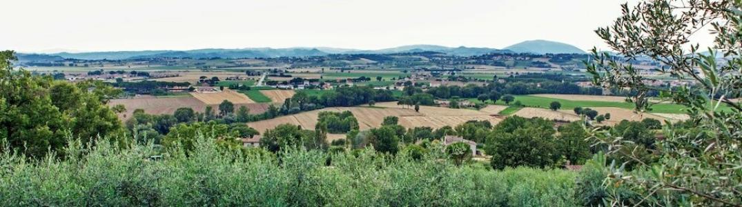 Agriturismo la Palazzetta di Assisi - 3
