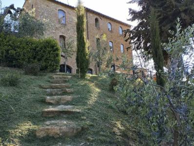 Rocca degli Olivi - 23