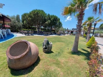 Assos Barbarossa - Special Class - 34