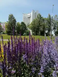 Беларусь - 16